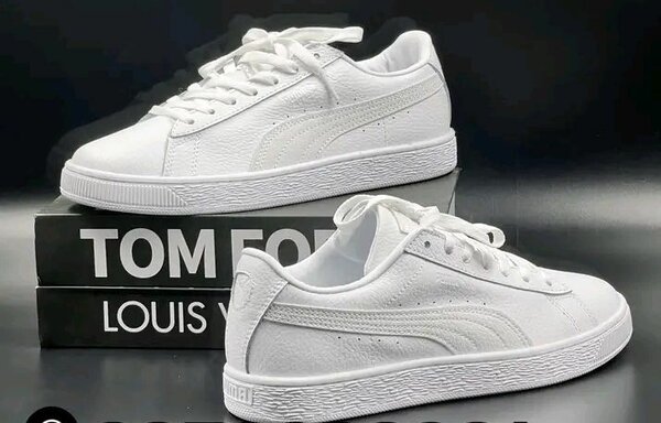 Puma
