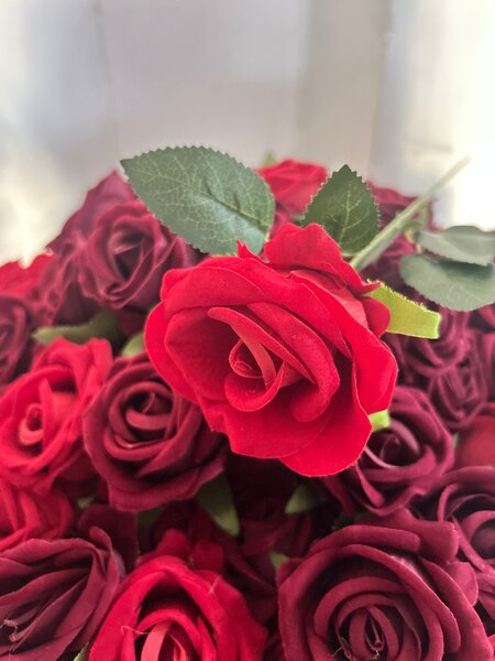 rose flower
