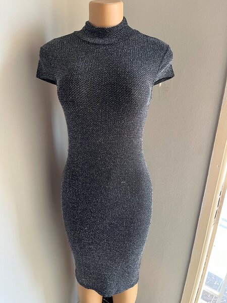 The Shimmery Dress