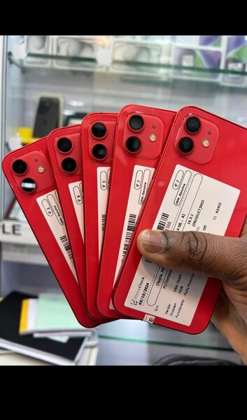 iPhone XR et 12