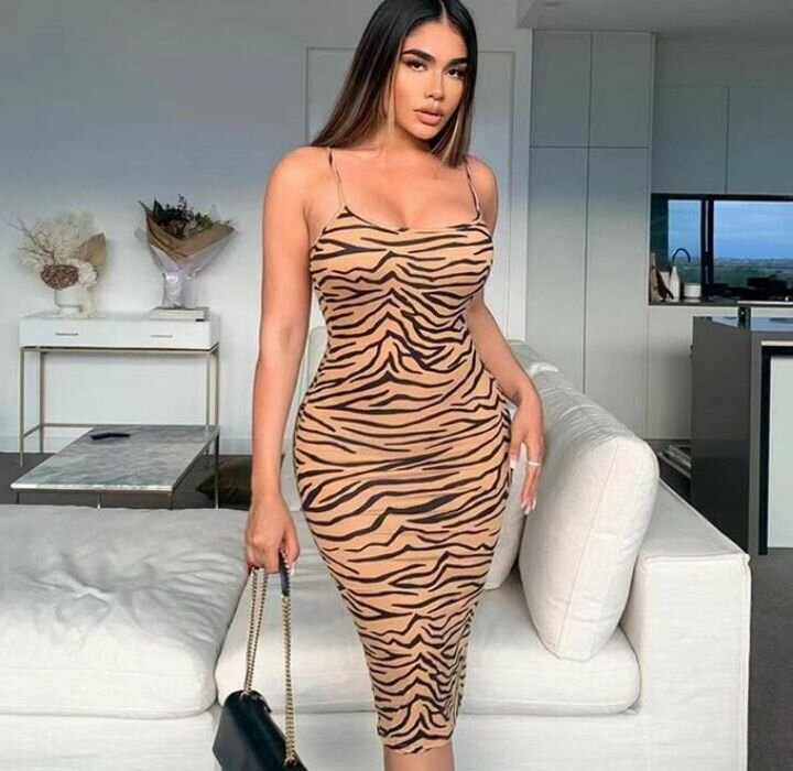 Ladies dress
