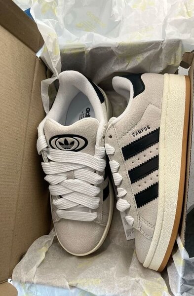 Sneakers Adidas Campus Classiques
