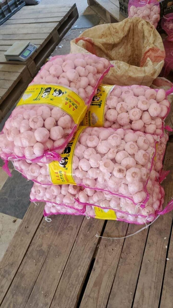 Garlic