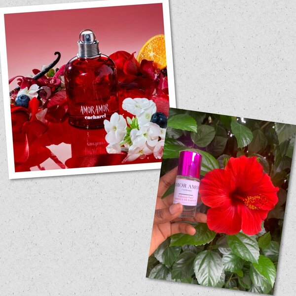 Essence de parfum sans mélange