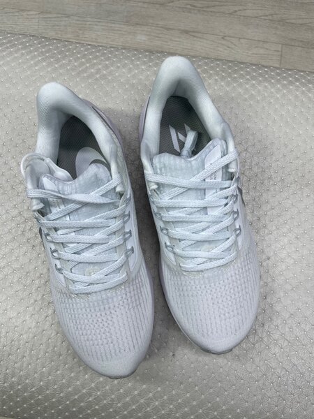 Nike pegasus39
