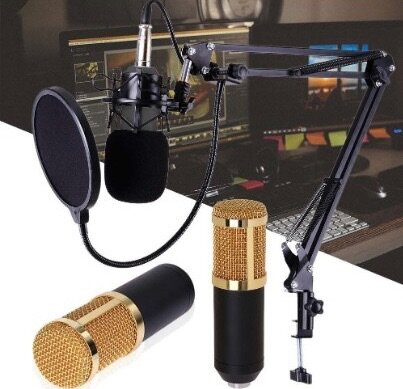 Bm 800 condenser microphone with mount