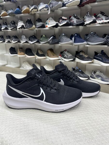 Nike Pegasus 39