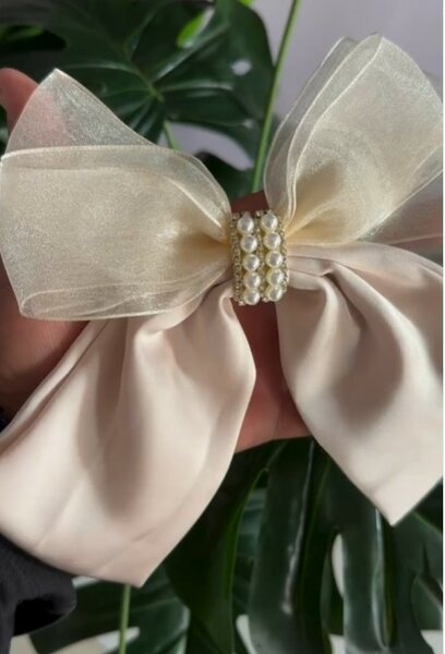 Hair Bow Clips