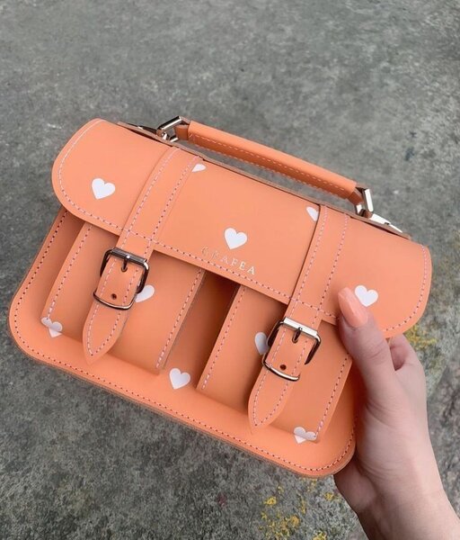 Ladies handbag