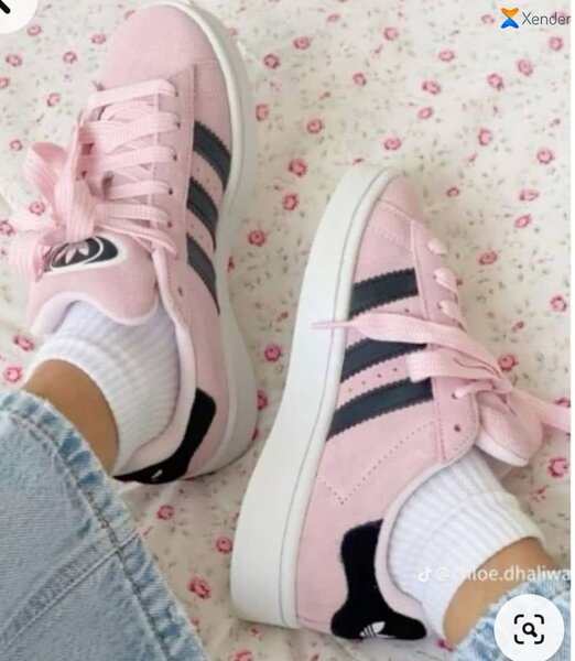 paire campus authentiques