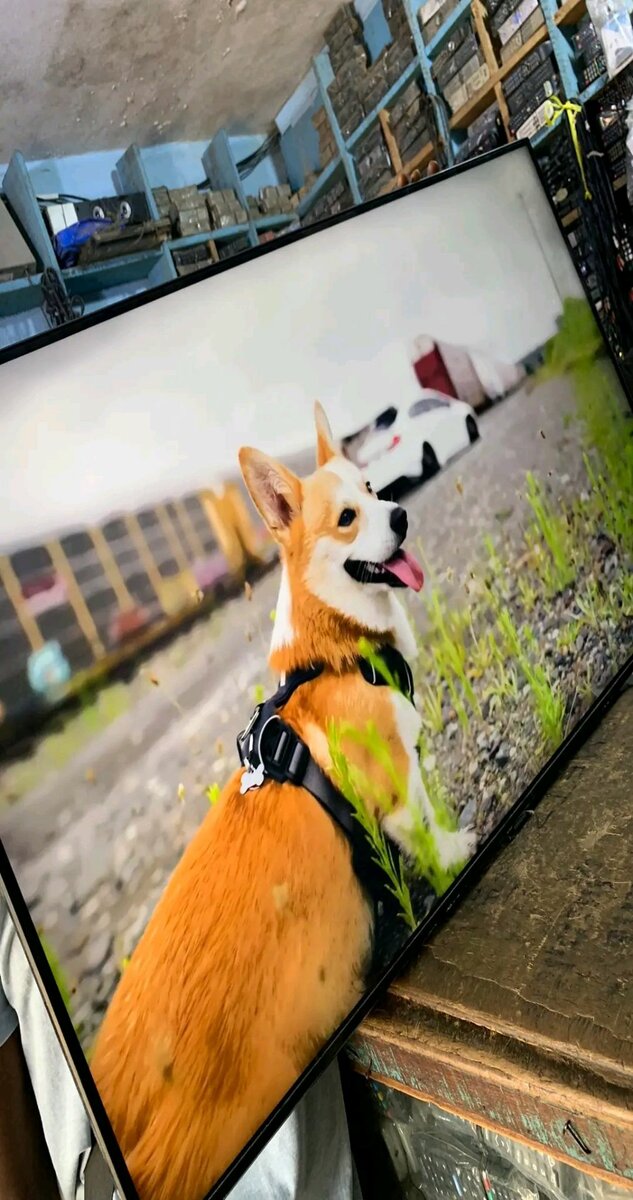 Télévision nasco 32"