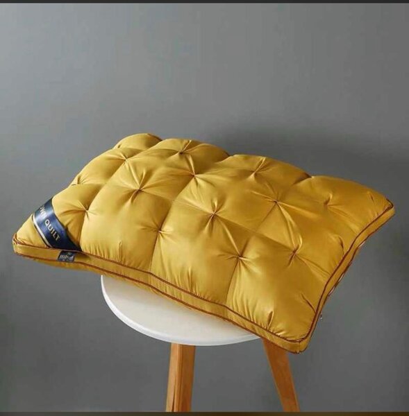 Luxurious Pillows