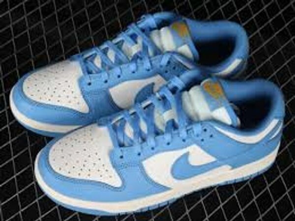 Nike Dunk Low Blue