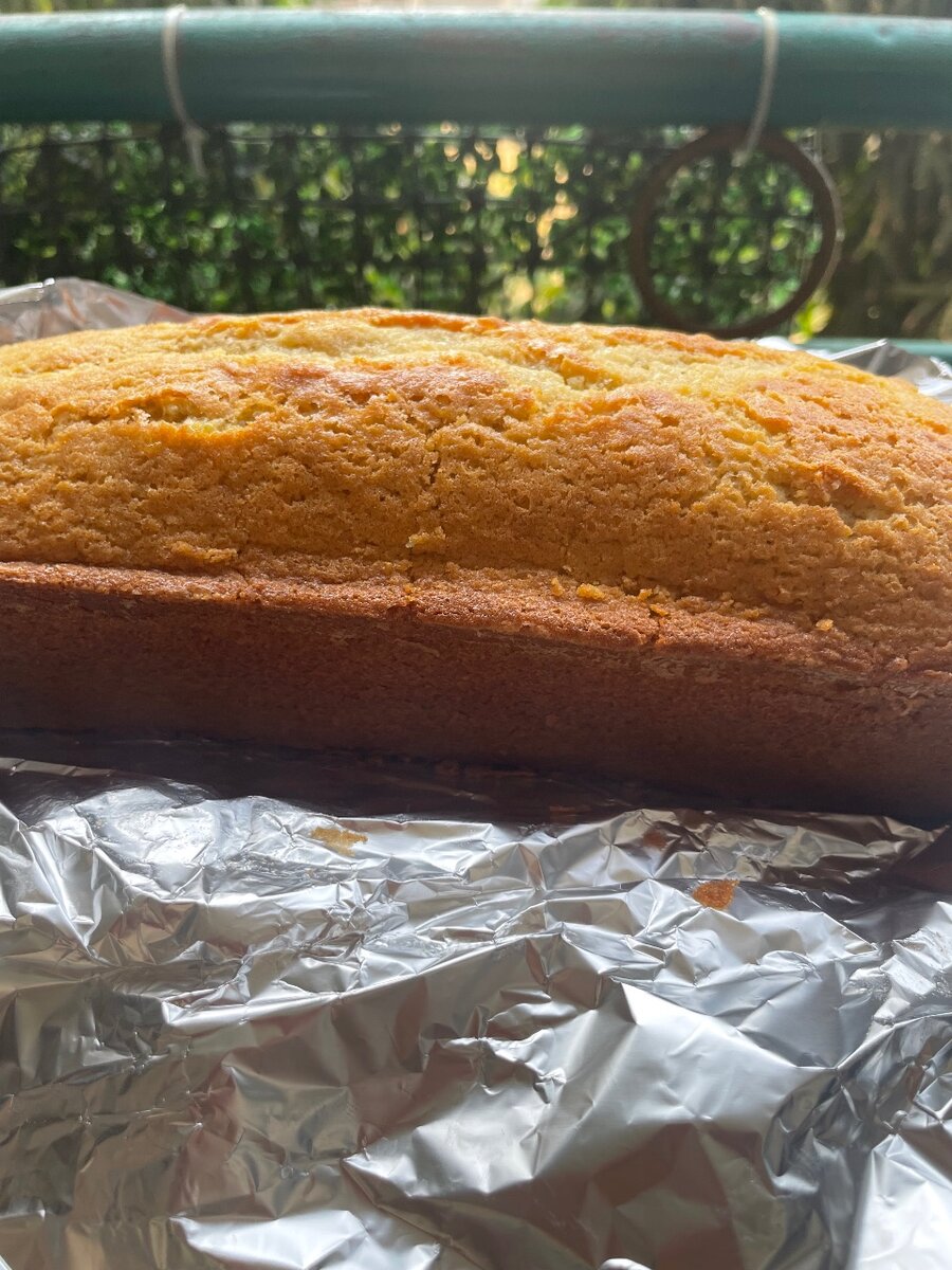 Cake  nature