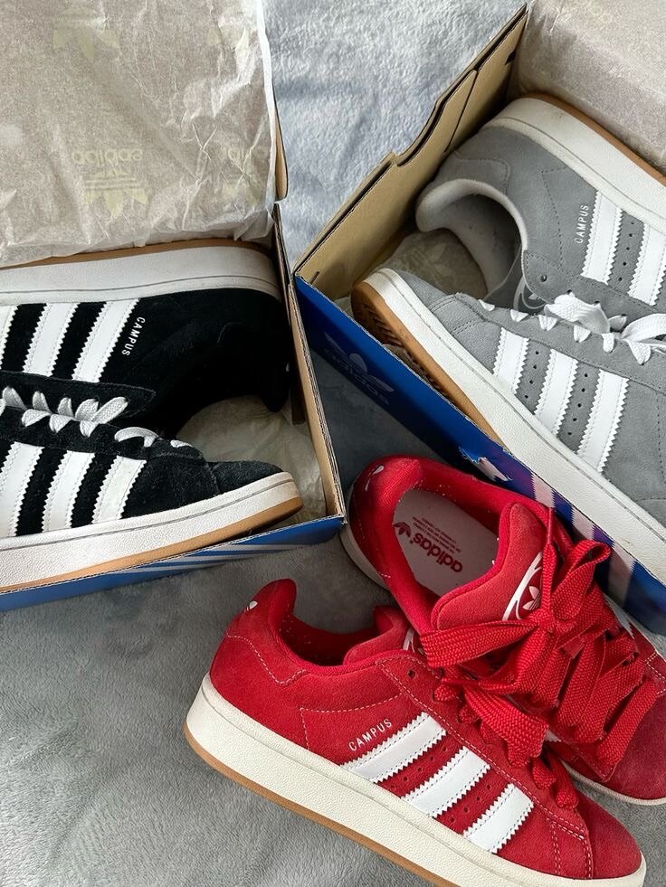 Adidas campus original