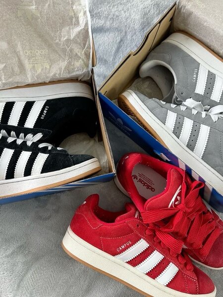 Adidas campus original