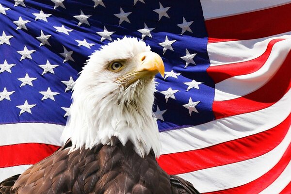 ameriCAN_GH 