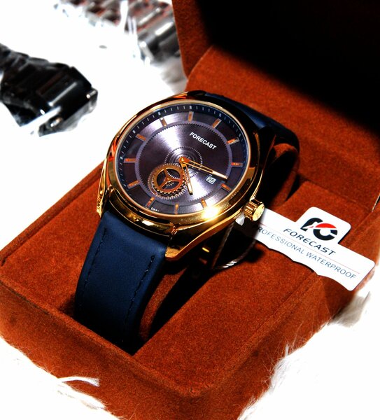 Montre Forecast