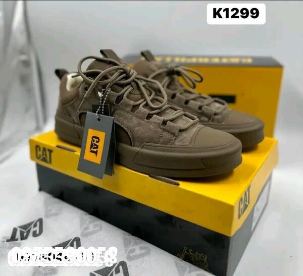 Cat sneaker