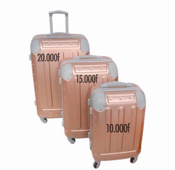 Valise de voyage