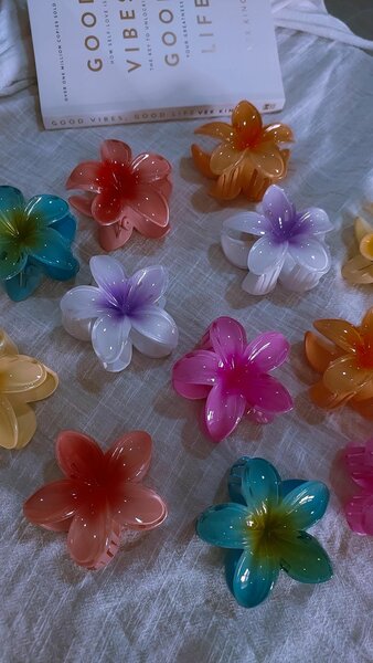 Hairclips