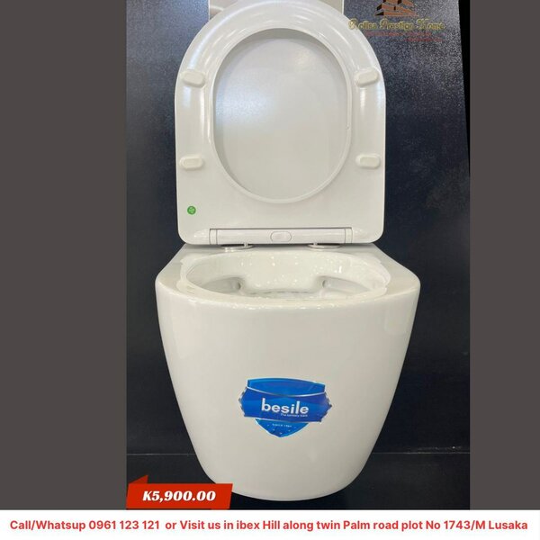 Wall hang toilet