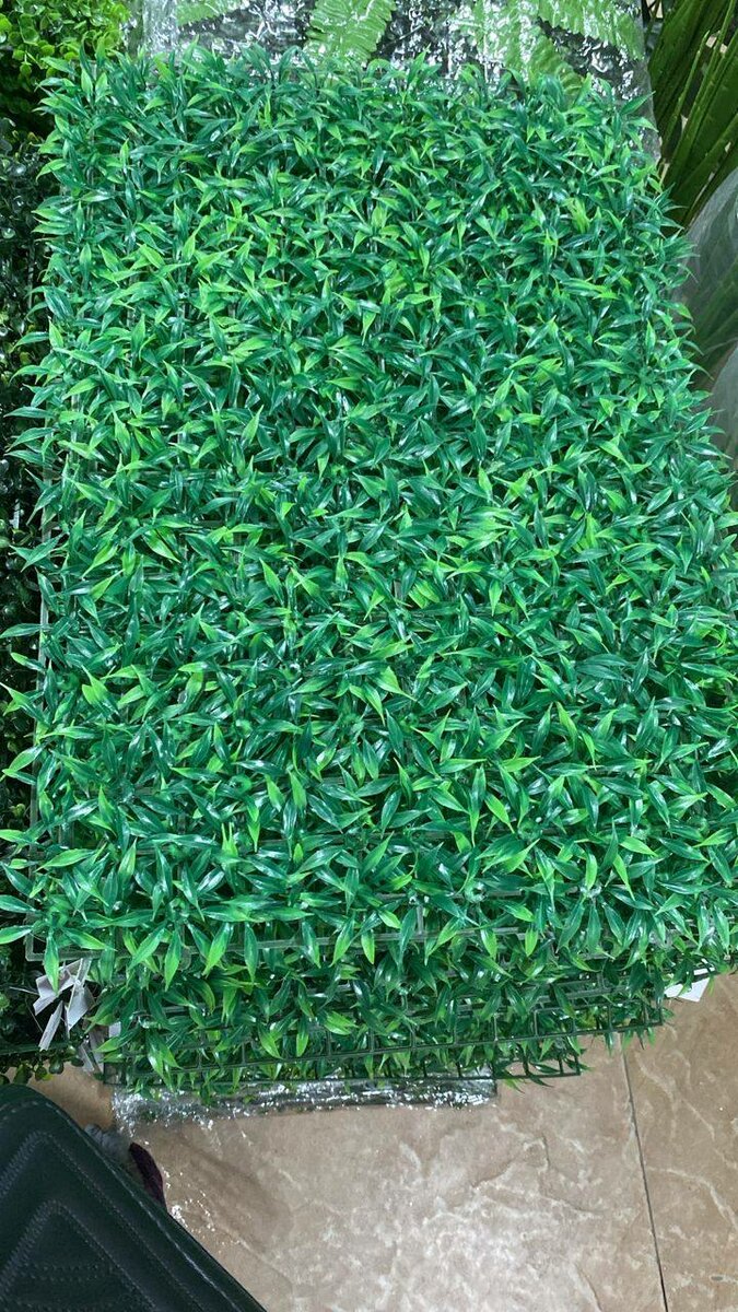 Mur vegetal
