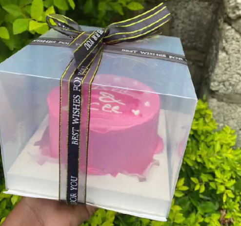 Bento cakes