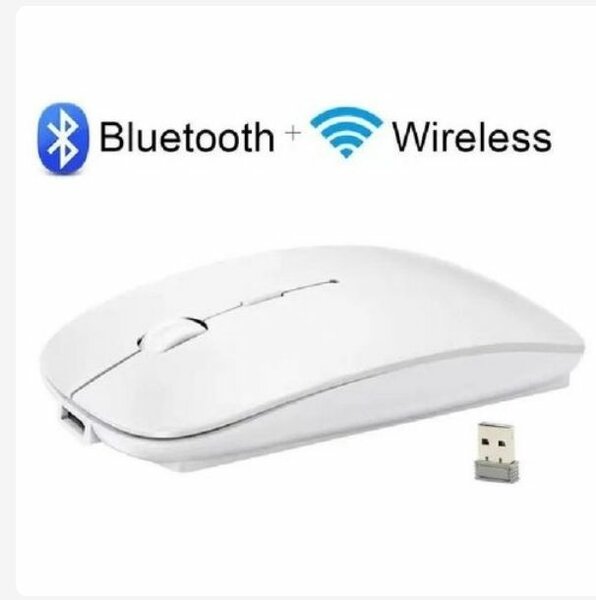 Rechargeable souris