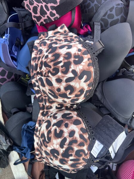 Womens Bra