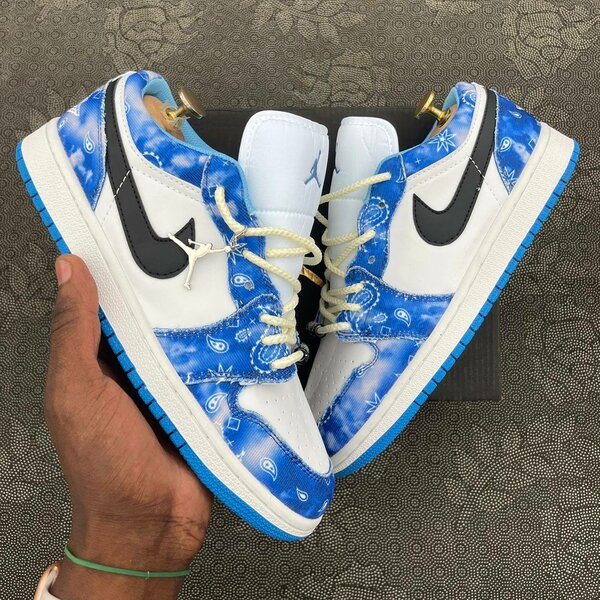 Nike jordan SB