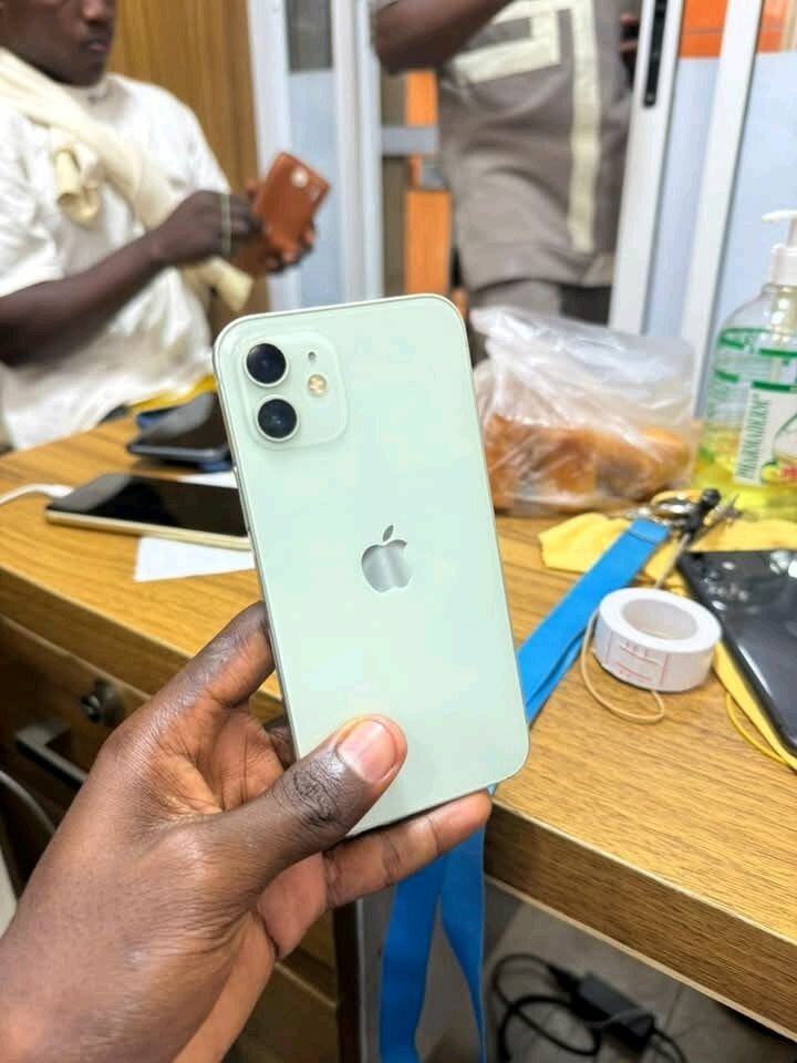 iPhone 12 - 256 Go, Vert