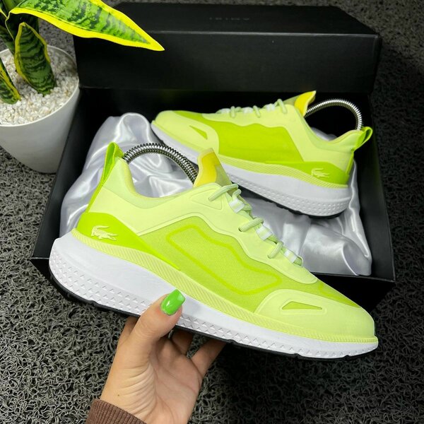 Lacoste Sneakers Homme Élégants