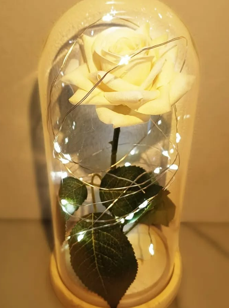 Роза под стеклянным куполом — идеальный подарок! 🥀✨