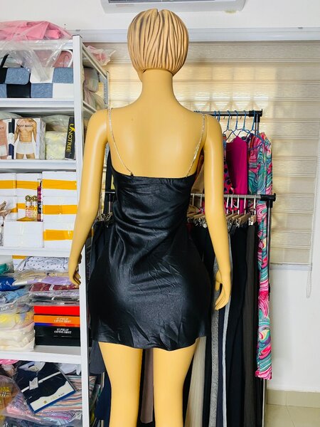 Ladies dress