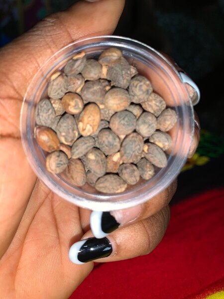 Miracle seed
