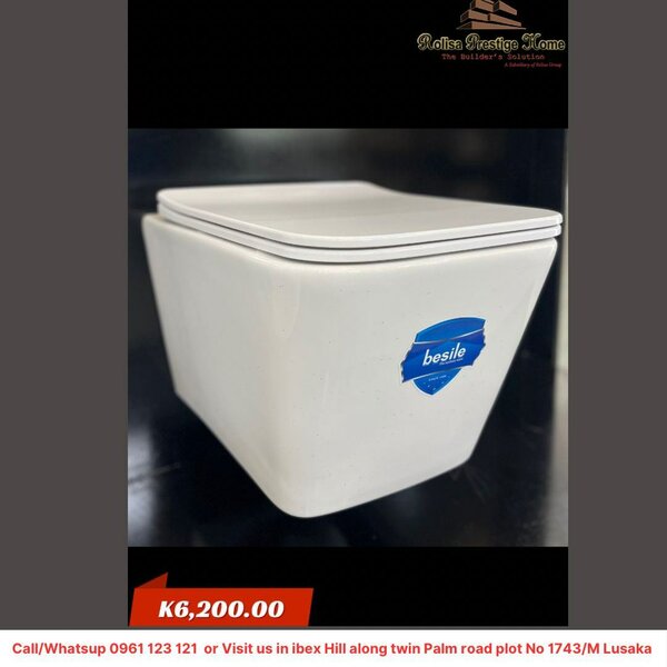 Wall hang toilet
