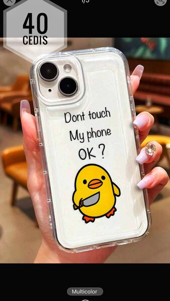 Catoons case