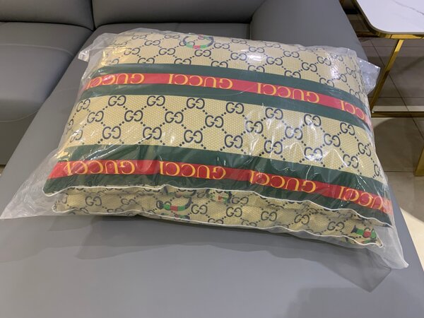 2 in 1 pillow