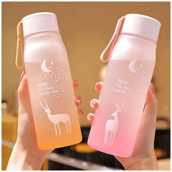 Gourde à eau