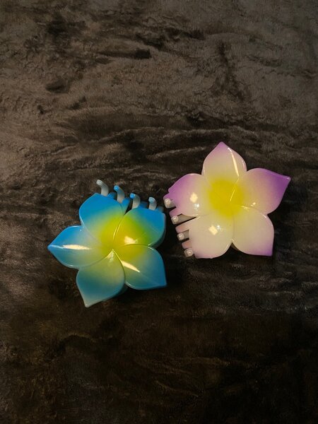 Pinces à cheveux fleurs colorées
