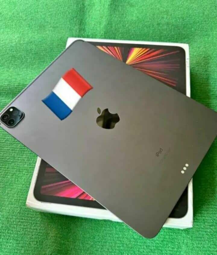 iPad Pro Apple Grey