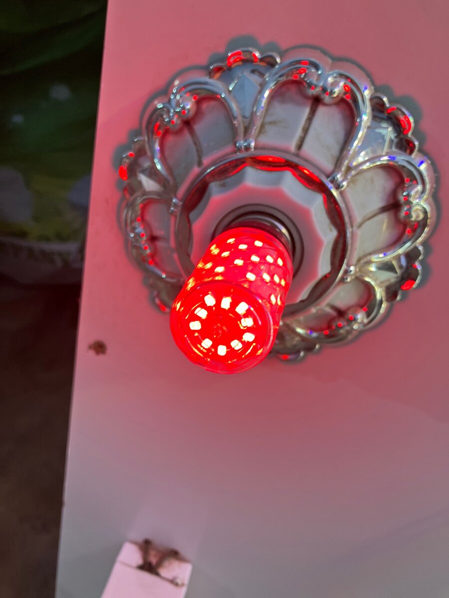 Design bulbs
