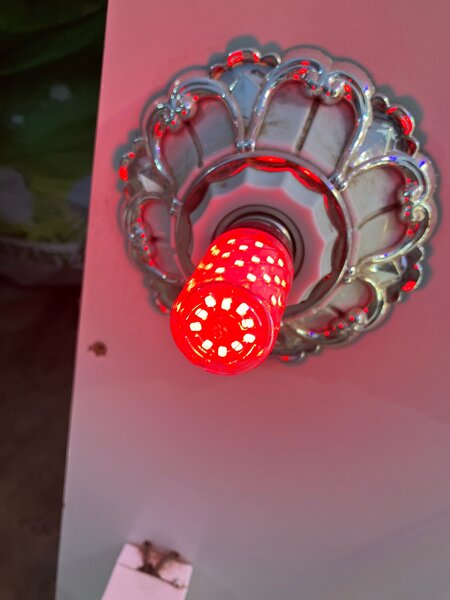 Design bulbs