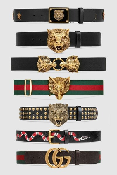 Belt and suspender