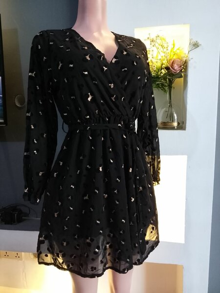 Ladies dress