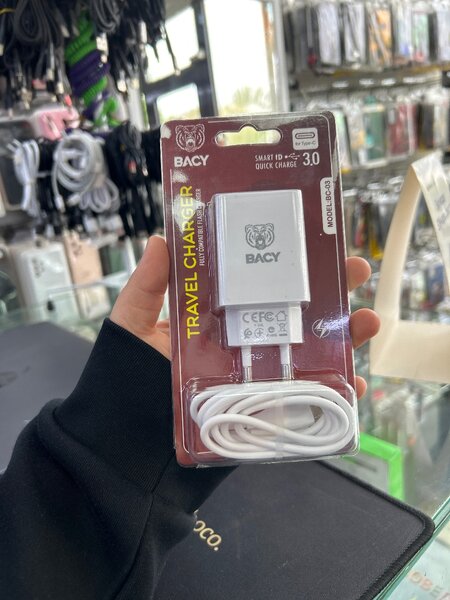 Travel charger