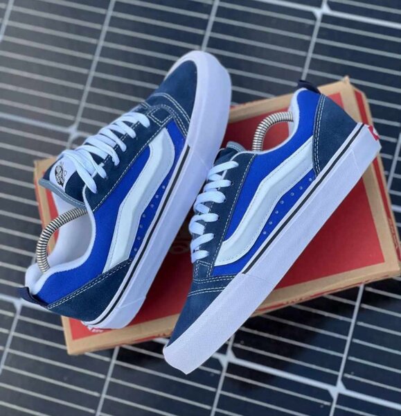 Vans dunk