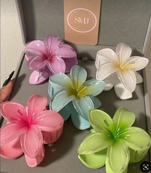 Hair clip