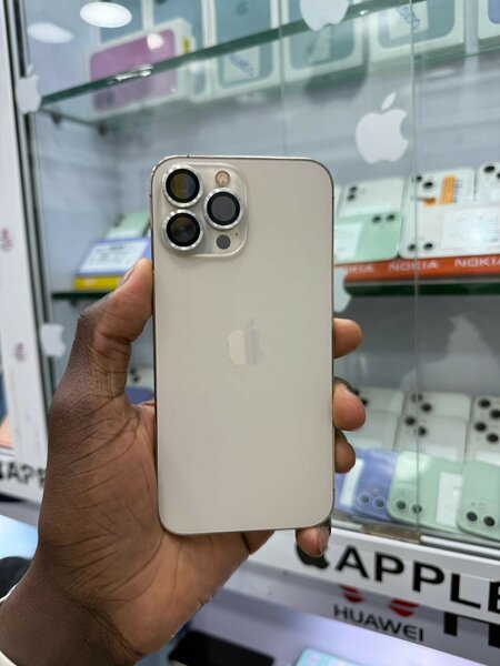 iPhone 13 Pro Max